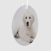 customisé avec la photo de animal de compagnie mém (devant)