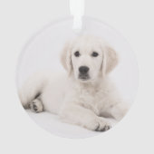 customisé avec la photo de animal de compagnie mém (dos)