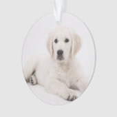 customisé avec la photo de animal de compagnie mém (devant)