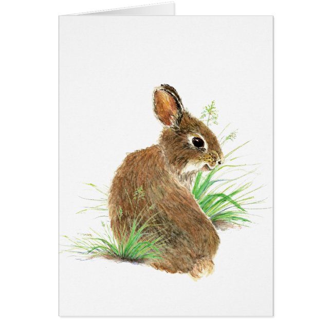 Customisez ce Curious Rabbit, Aquarelle Animal (Devant)