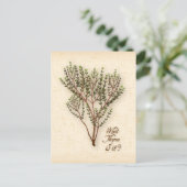 Customisez Quel Thyme Est-Ce ? Carte postale (Debout devant)