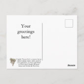 Customisez Quel Thyme Est-Ce ? Carte postale (Dos)