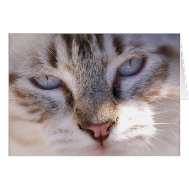 Customisez votre propre carte d'animal familier (Devant horizontal)