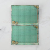 Customisez votre propre conception de coquillages (Intérieur)