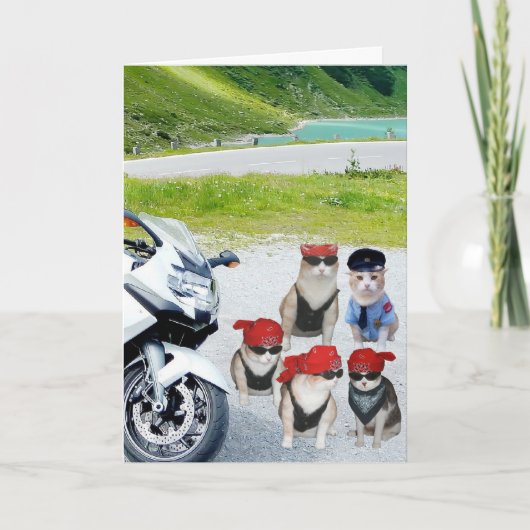 Customizable Funny Biker Cats Birthday Kaart (Voorkant)