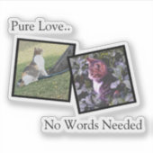 Customizable Pet Photo vinyl Sticker (Devant)