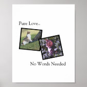Customizable Pet Poster For Pet Owners (Devant)