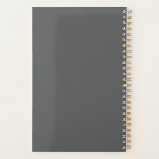 CUSTOMIZE YOUR PLANNER (Dos)