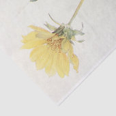 Cut-leaved Balsam-Root van Margaret Armstrong Tissuepapier (Detail)