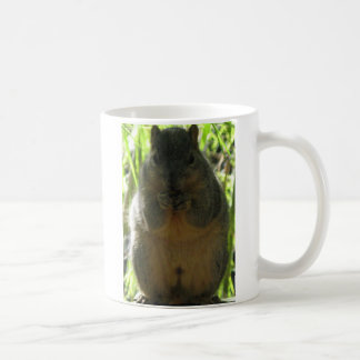 Cute afbeelding van een kleine eekhoorn die een no koffiemok