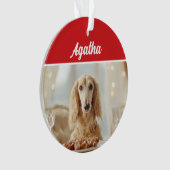 Cute Afghan Hound Dog Holiday Christmas Photo (devant)