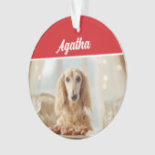 Cute Afghan Hound Dog Holiday Christmas Photo (devant)