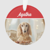 Cute Afghan Hound Dog Holiday Christmas Photo (devant)