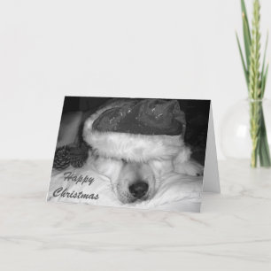 Cute akita dog santa hat cones Slape kerstmis Feestdagen Kaart
