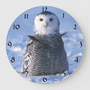 Cute Alaska Arctic Snowy Owl Winter Foto ontworpen Grote Klok