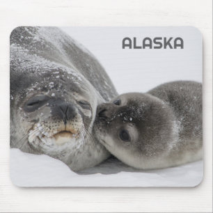 Cute Alaska Baby Zeal en Moeder Muismat