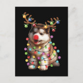 Cute Alaskan Malamute Dog kerstfeestcadeaus Briefkaart (Voorkant)