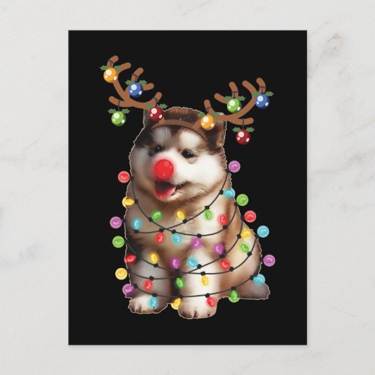 Cute Alaskan Malamute Dog kerstfeestcadeaus Briefkaart (Voorkant)