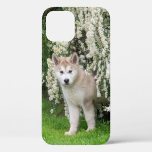 Cute Alaskan Malamute Dog Puppy in Flowers Photo iPhone 12 Hoesje