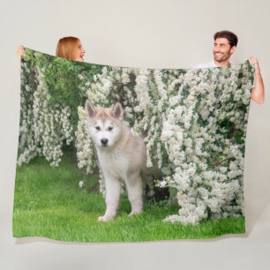 Cute Alaskan Malamute Dog Puppy in Flowers Photo Fleece Deken