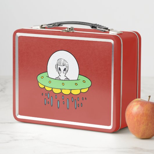 Cute Alien UFO (In situ)