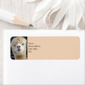 Cute Alpaca face Etiket (Insitu)