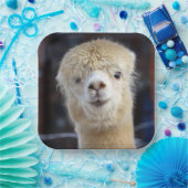 Cute Alpaca face Papieren Bordje (Feest)