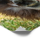 Cute Alpaca Poster (Hoek)