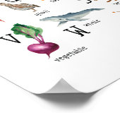 Cute Alphabet ABC Educatief Poster (Hoek)