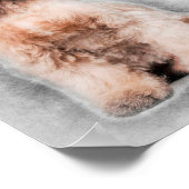 Cute American Cocker Spaniel Decoration Poster (Hoek)