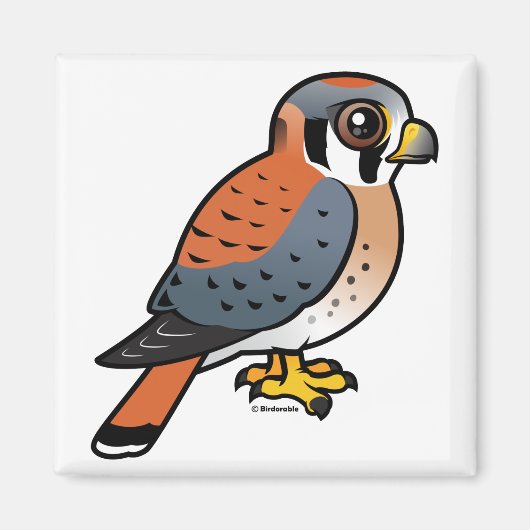 Cute American Kestrel Magneet (Voorkant)