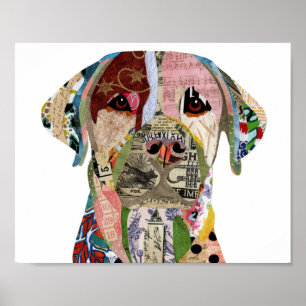 Cute and Colorful Labrador Retriever Poster 8"x10"