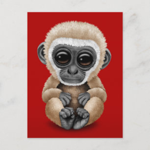 Cute and Curious Baby Gibbon on Red Briefkaart