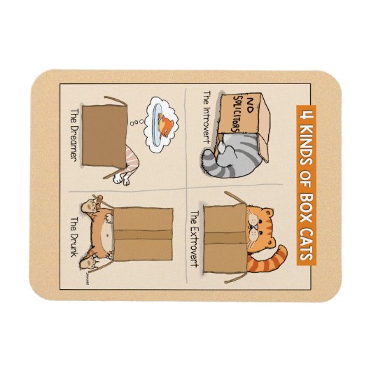 Cute and Funny Cats in Boxes Magneet (Horizontaal)