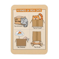 Cute and Funny Cats in Boxes