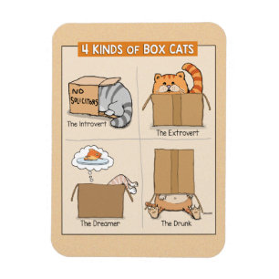 Cute and Funny Cats in Boxes Magneet
