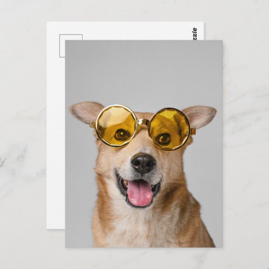 cute and funny dog with glasses  briefkaart (Voorkant / Achterkant)
