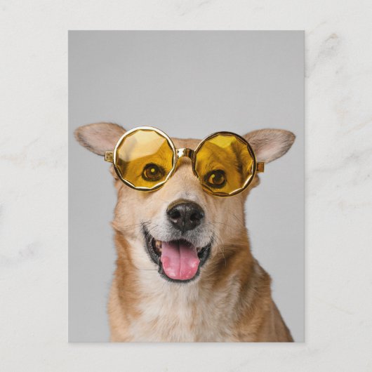 cute and funny dog with glasses  briefkaart (Voorkant)
