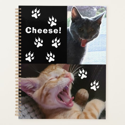 Cute and Funny Laughing Cats Planner (Voorkant)