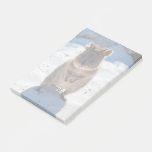 Cute and Happy Quokka op het strand in Australië Post-it® Notes