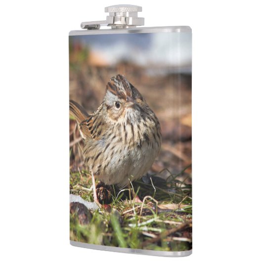 Cute and Spunky Lincoln's Sparrow Heupfles (Links)