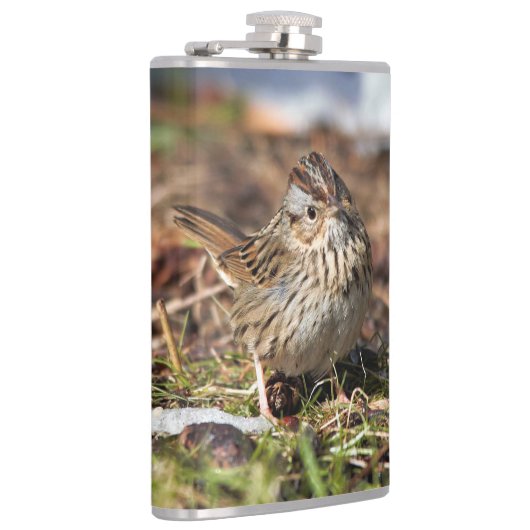 Cute and Spunky Lincoln's Sparrow Heupfles (Rechts)