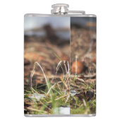 Cute and Spunky Lincoln's Sparrow Heupfles (Achterkant)