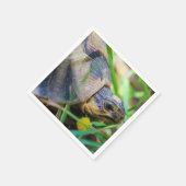 Cute Angulate Tortoise Zuid-Afrika Servet (Hoek)