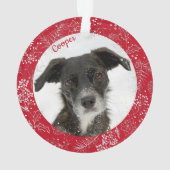 Cute animal Chien de vacances Chien de vacances Ch (dos)