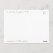 Cute Anole Lizard Briefkaart (Achterkant)