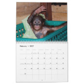 Cute Apes Orangutan Wildlife Kalender (Feb 2027)