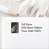 Cute Appaloosa Horse Retour Adresse Étiquette (En situation)