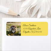 Cute April Hedgehog with Diamond Heart Etiket (Insitu)