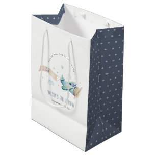 Cute Aqua Green Blue Biplane Cloud Heart Birthday Medium Cadeauzakje